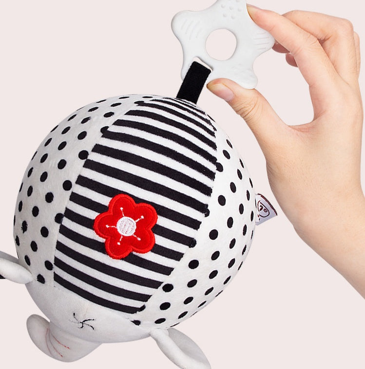 Babies' Visual Training Black And White Balls