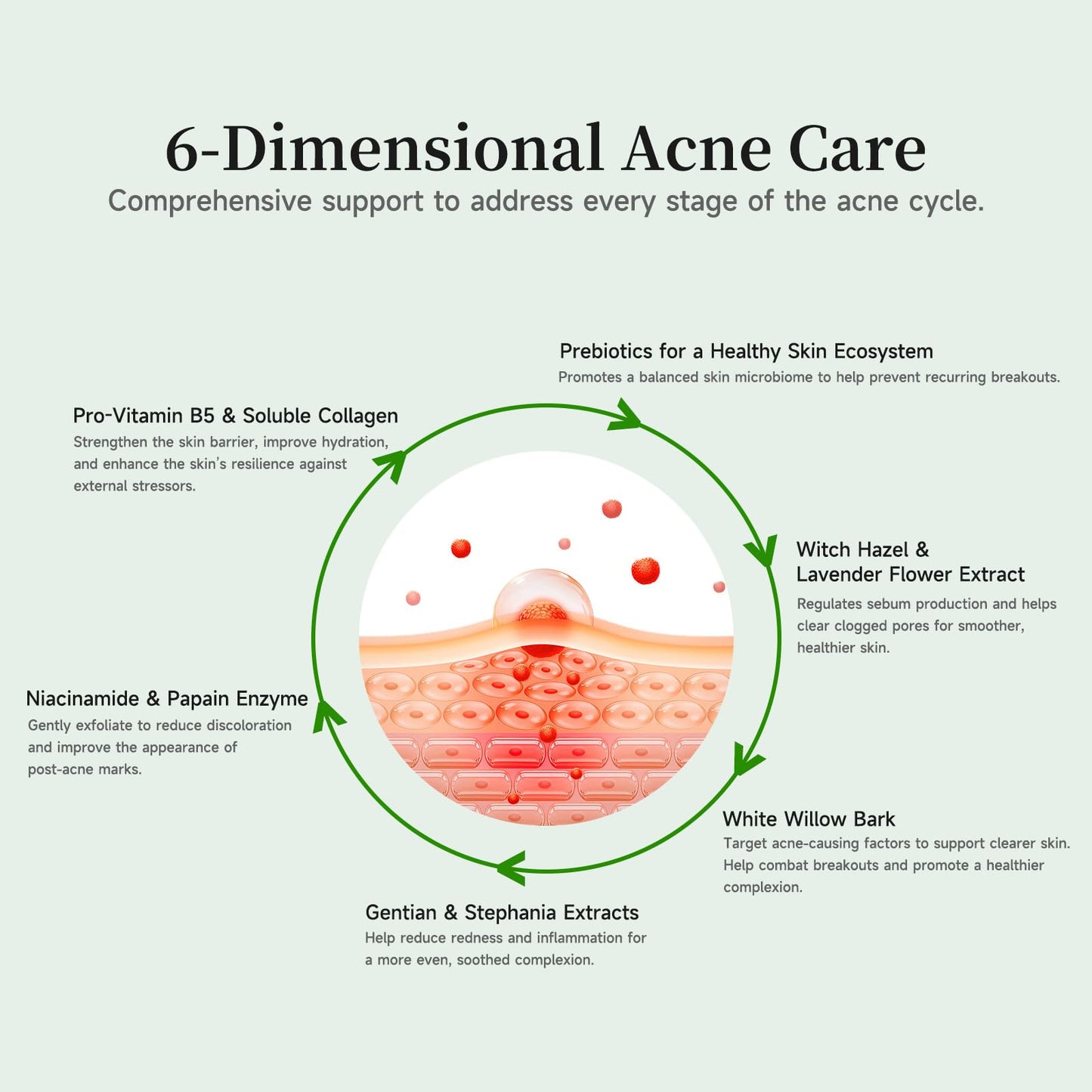 BACHERI Gentle Botanical Acne Serum – Niacinamide & Witch Hazel, 1.2 ml × 30 Ampoules