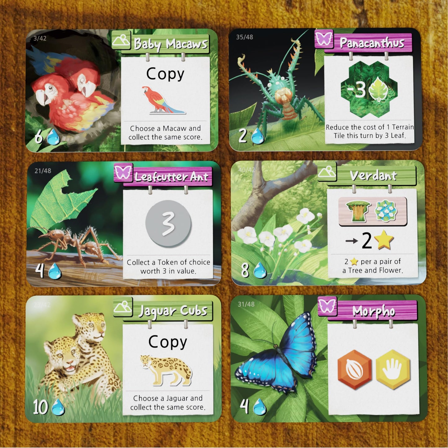 BAD COMET Life of The Amazonia Board Game — Jungle-Strategy for 1–4 Players (60–150 Min)