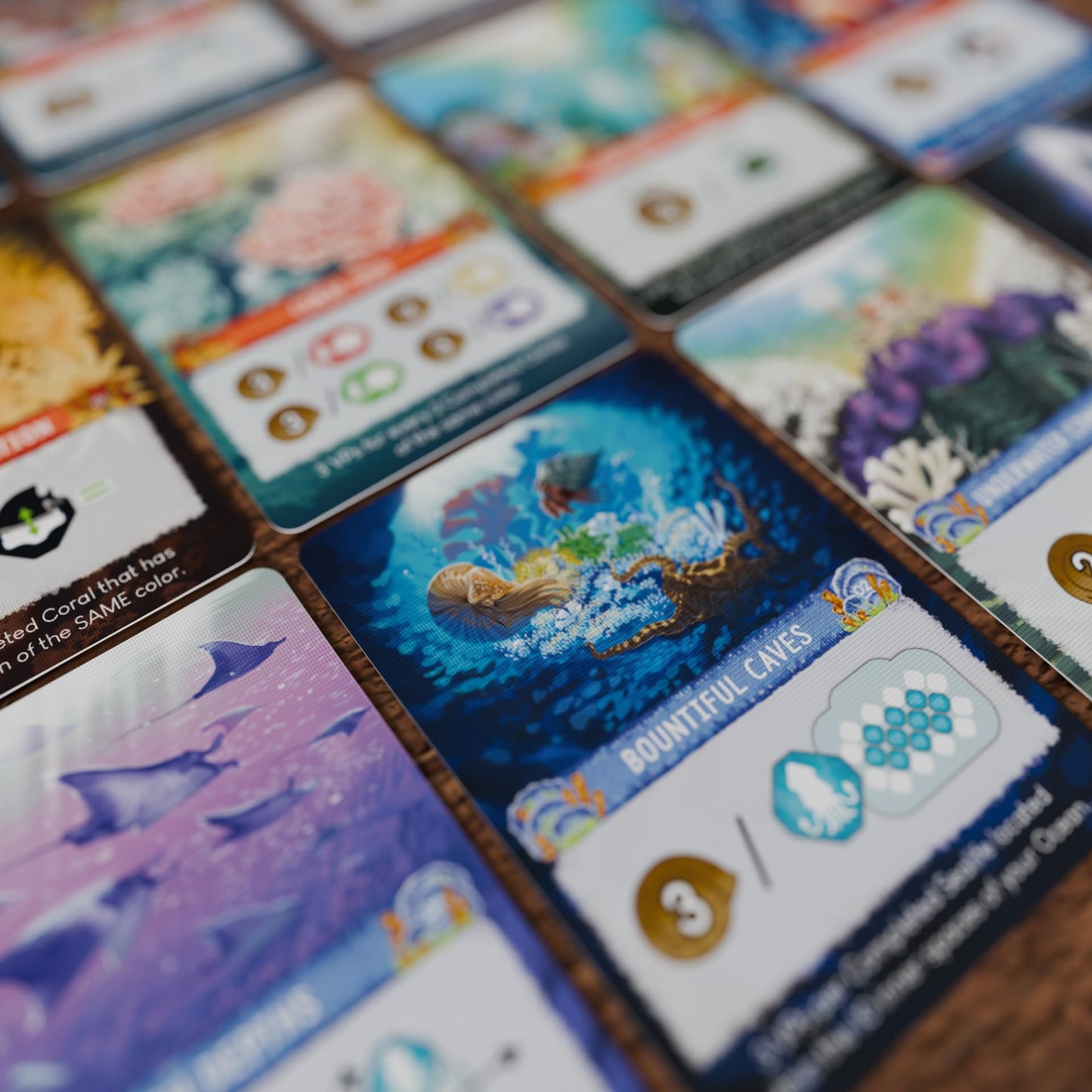 Shallow Sea Board Game by BAD COMET – 1–4 Players, 30–45 Min, Coral Reef Strategy