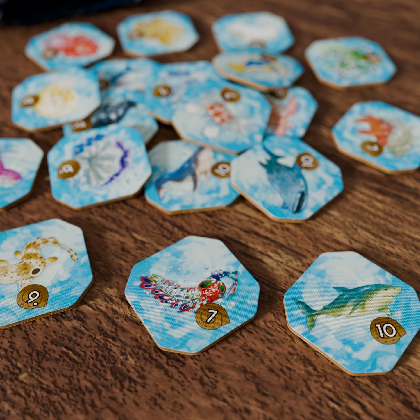 Shallow Sea Board Game by BAD COMET – 1–4 Players, 30–45 Min, Coral Reef Strategy