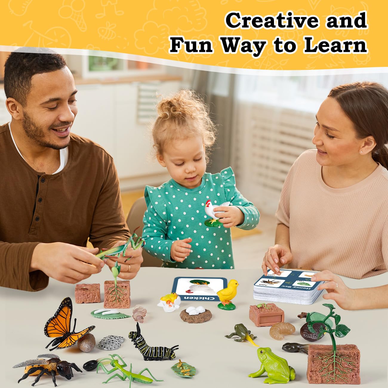 Bambilo Life Cycle Learning Toys – 25-Piece Animal & Plant Education Kit