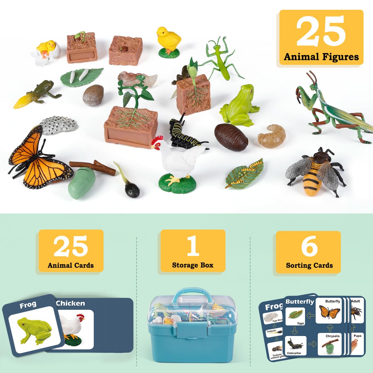 Bambilo Life Cycle Learning Toys – 25-Piece Animal & Plant Education Kit