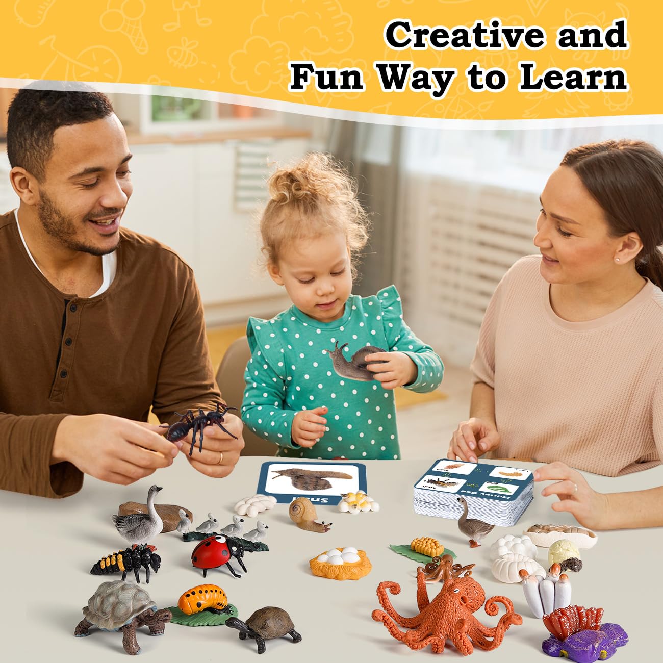 Bambilo Life Cycle Toys for Kids – 24 STEM Animal Models (3–10)