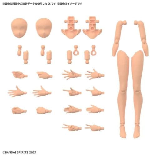 Bandai Hobby 30MS Option Body Parts Arm & Leg Color C for 30MS Figures
