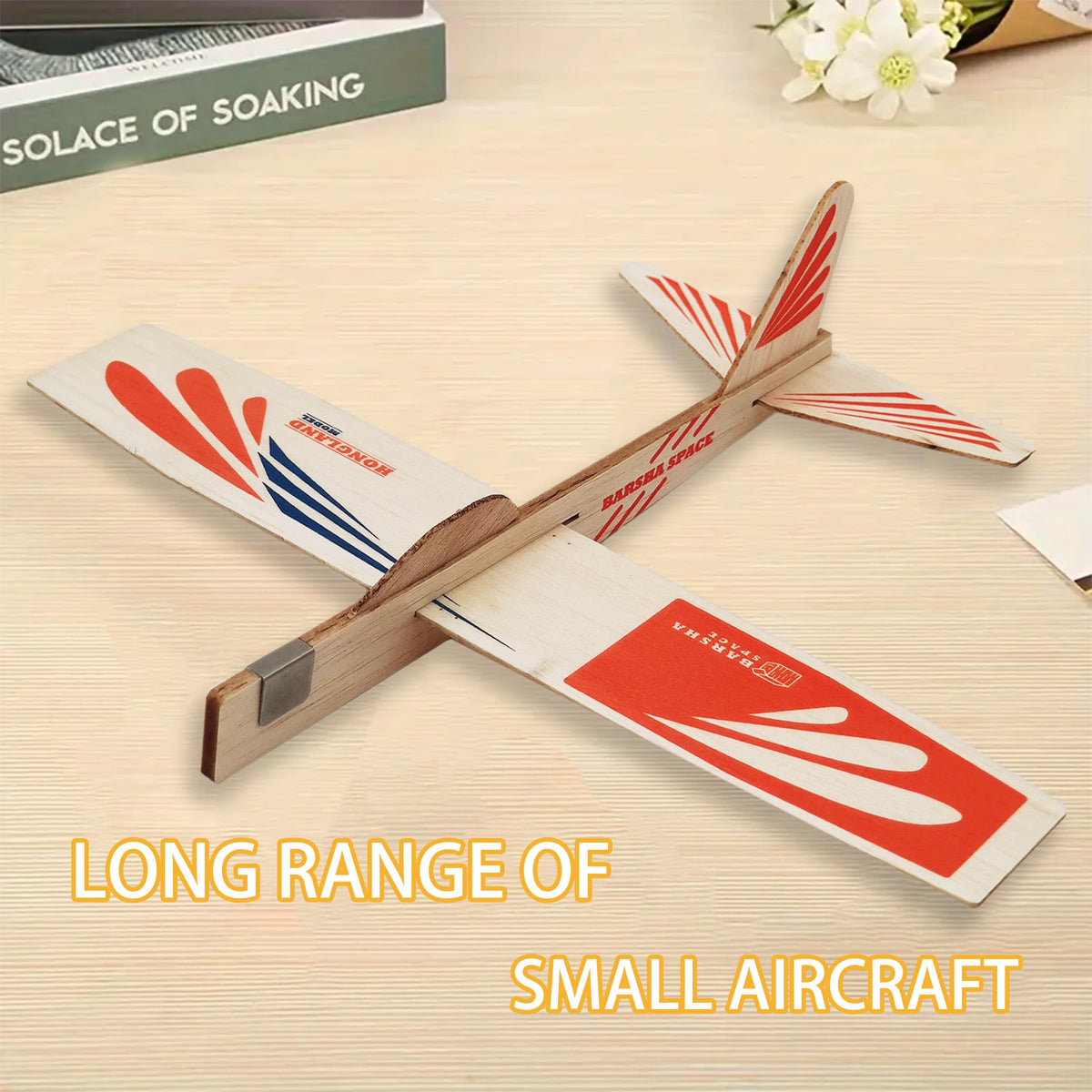 Barsha Space 4-Pack Balsa Wood Airplane Glider Kits for Kids – Outdoor Flying Set