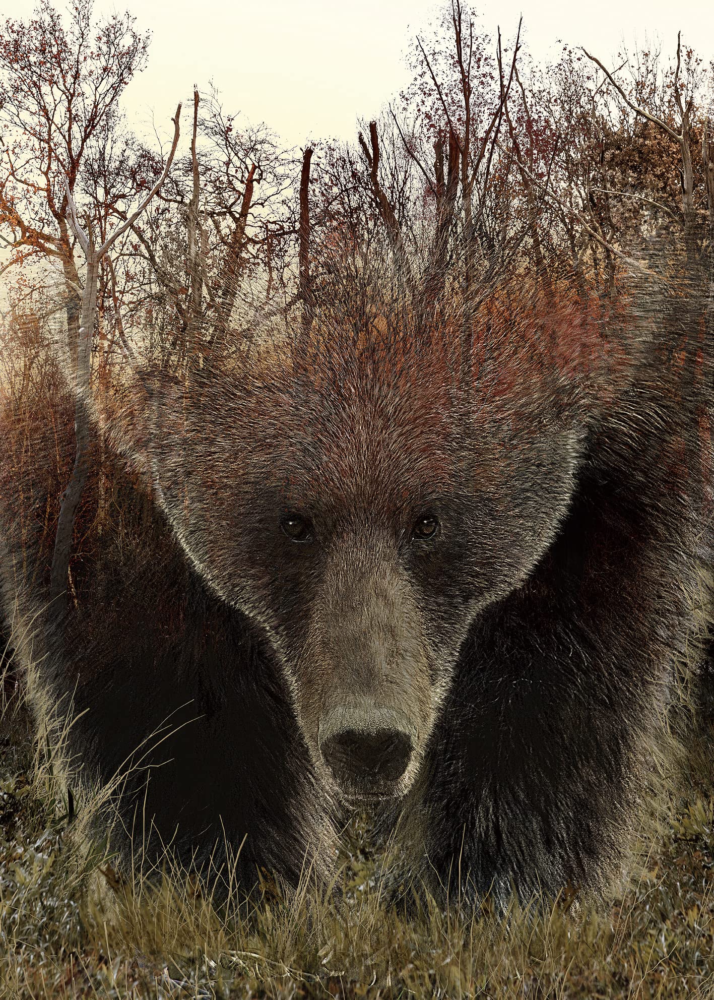 BBOLDIN Animal Bear 1000-Piece Jigsaw Puzzle for Adults – Hard Forest Puzzle