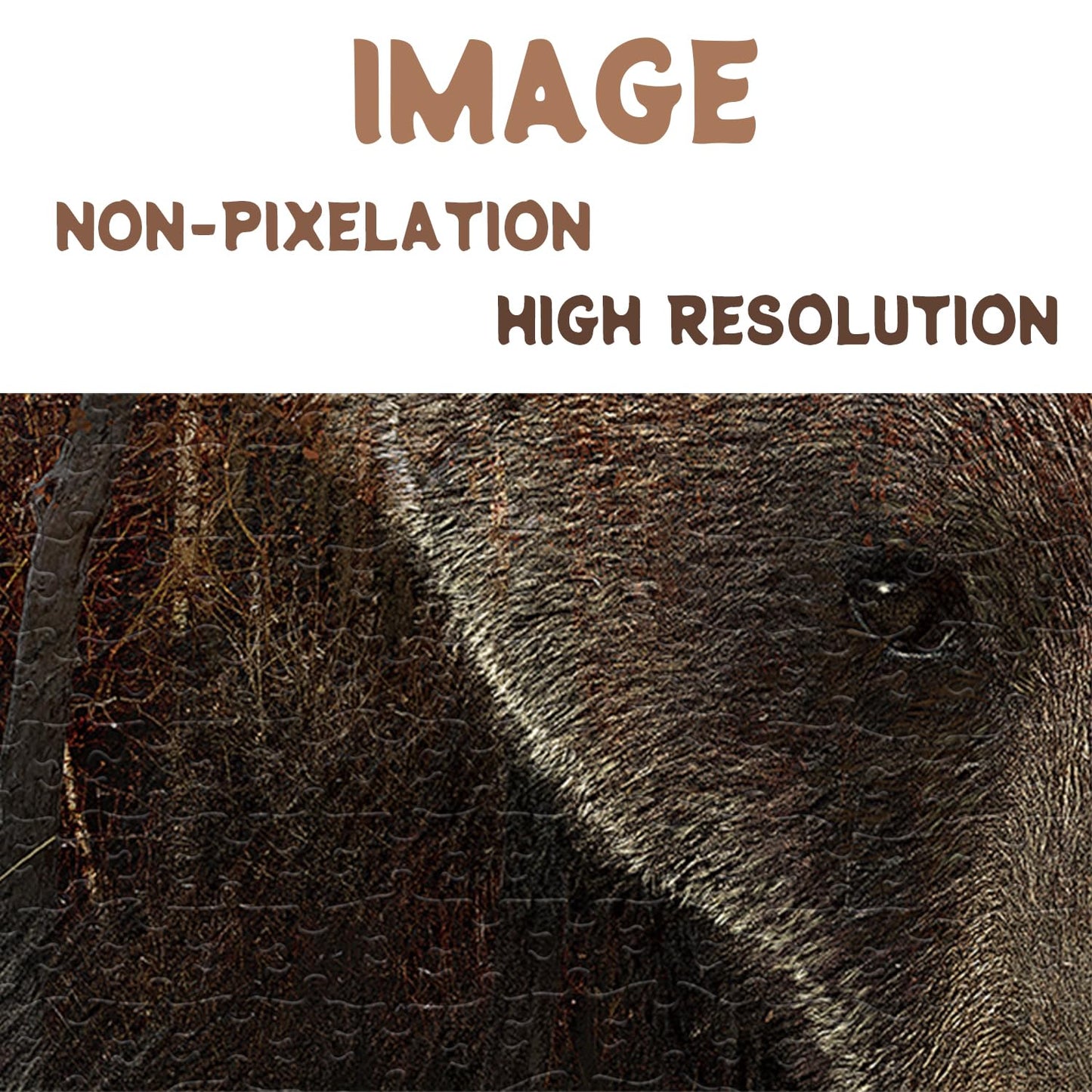 BBOLDIN Animal Bear 1000-Piece Jigsaw Puzzle for Adults – Hard Forest Puzzle