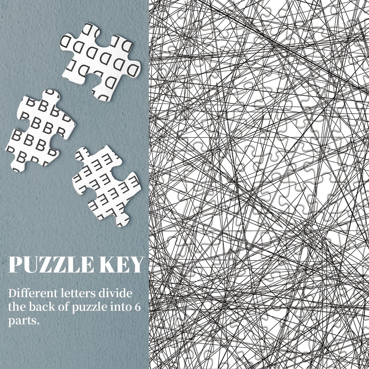 BBOLDIN Hard Puzzles for Adults • 1000-Piece Impossible Line Puzzle