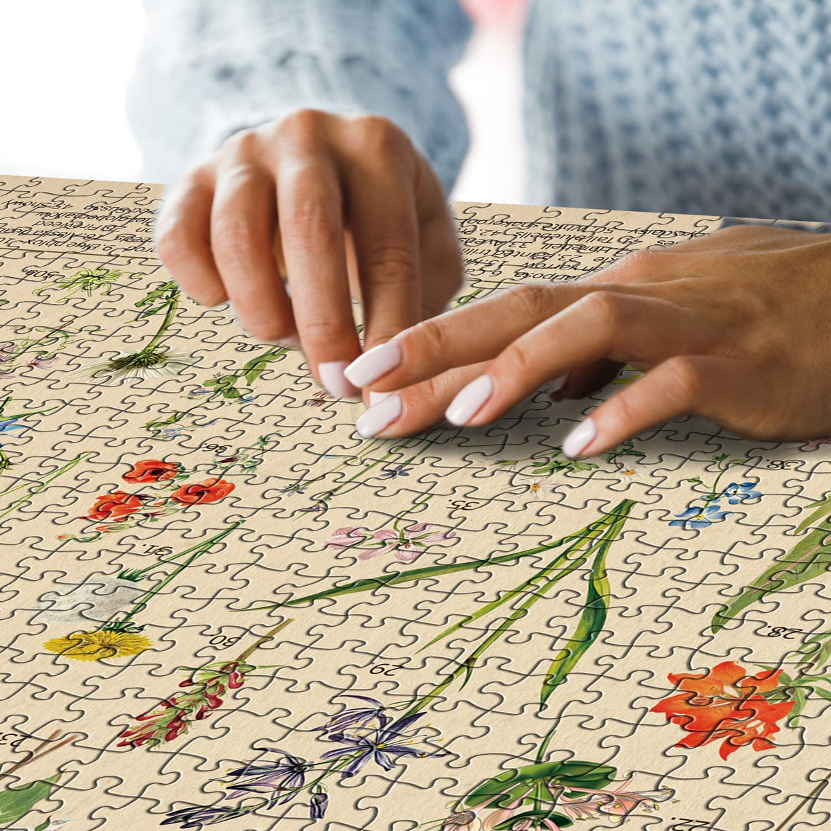 BBOLDIN Vintage Wildflowers Puzzle 1000 Pieces – North American Flora Jigsaw