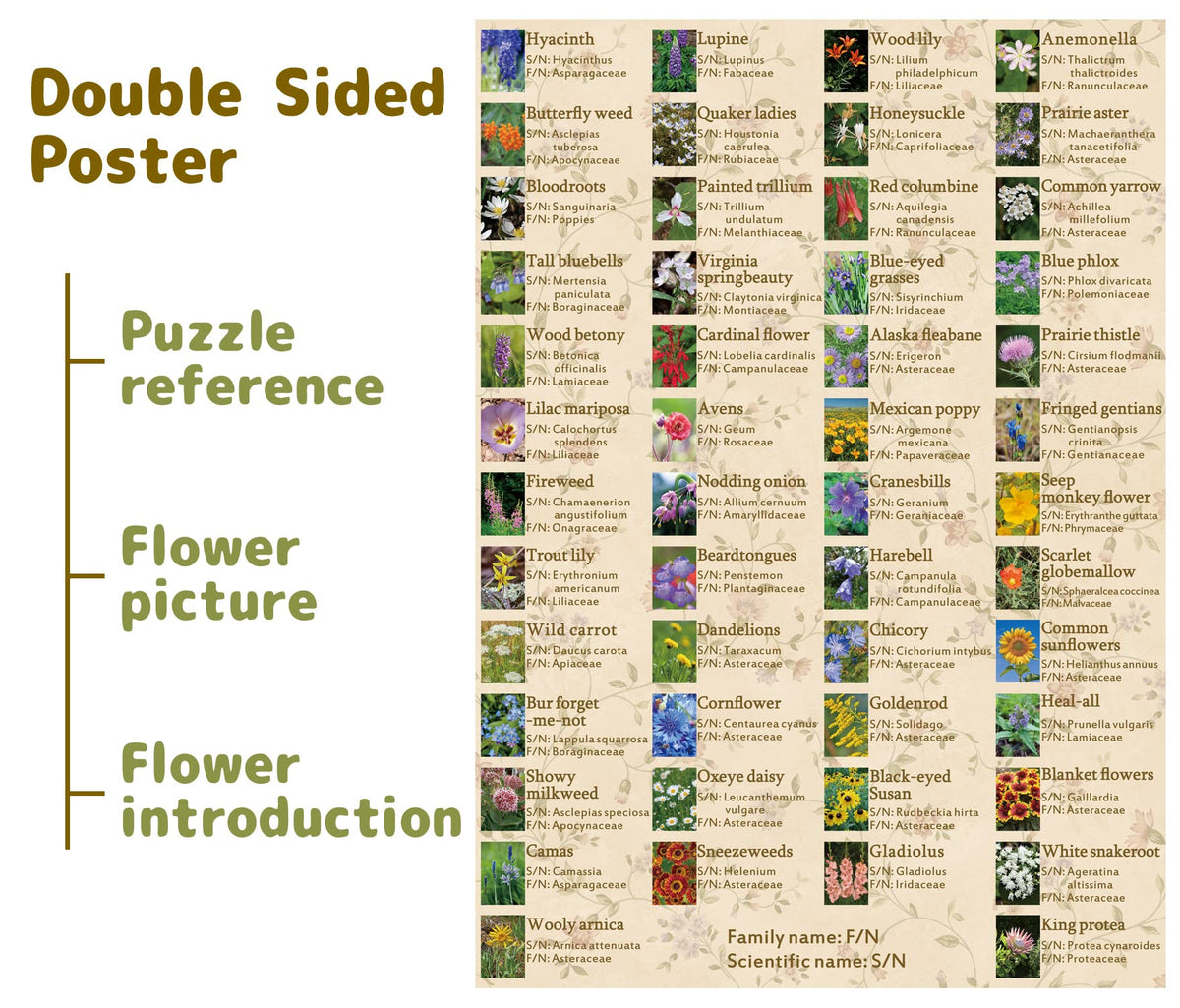 BBOLDIN Vintage Wildflowers Puzzle 1000 Pieces – North American Flora Jigsaw