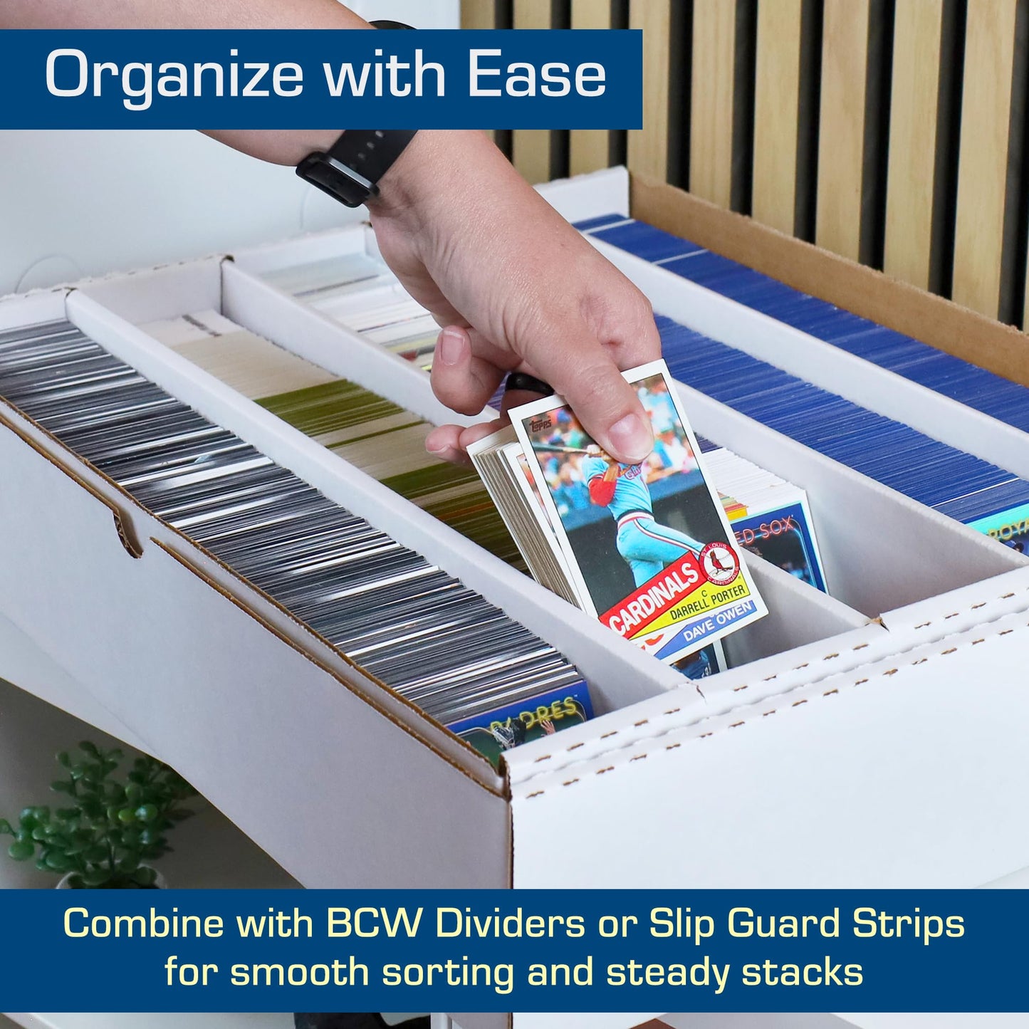 BCW 5000ct Trading Card Storage Box (Full Lid) – 1 Pack | High-Capacity Card Organizer