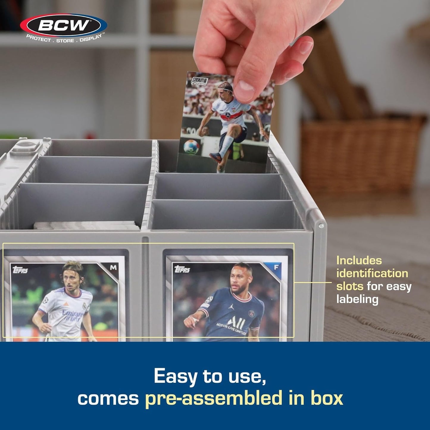 BCW Collectible Card Bin (2-Pack, Gray) | Holds 3,200 Cards Each + 4 Dividers