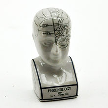 12" PHRENOLOGY HEAD REPRODUCTION
