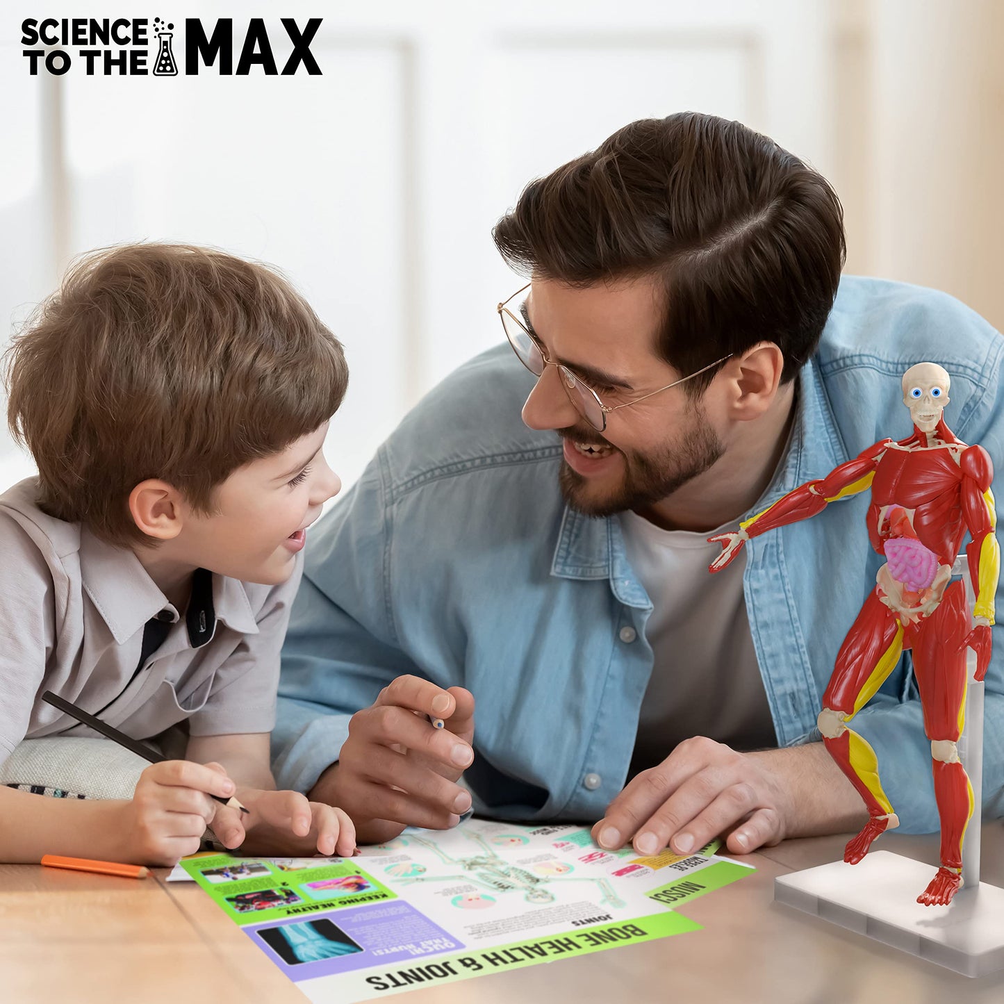 Be Amazing! Toys Interactive Human Body – 14-inch Poseable Anatomy Model with Removable Organs, Muscles, and Bones