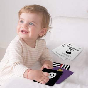 beiens High-Contrast Baby Flashcards – 80 Pcs, 160 Pages | Visual Stimulation Cards for Babies 0-36 Months