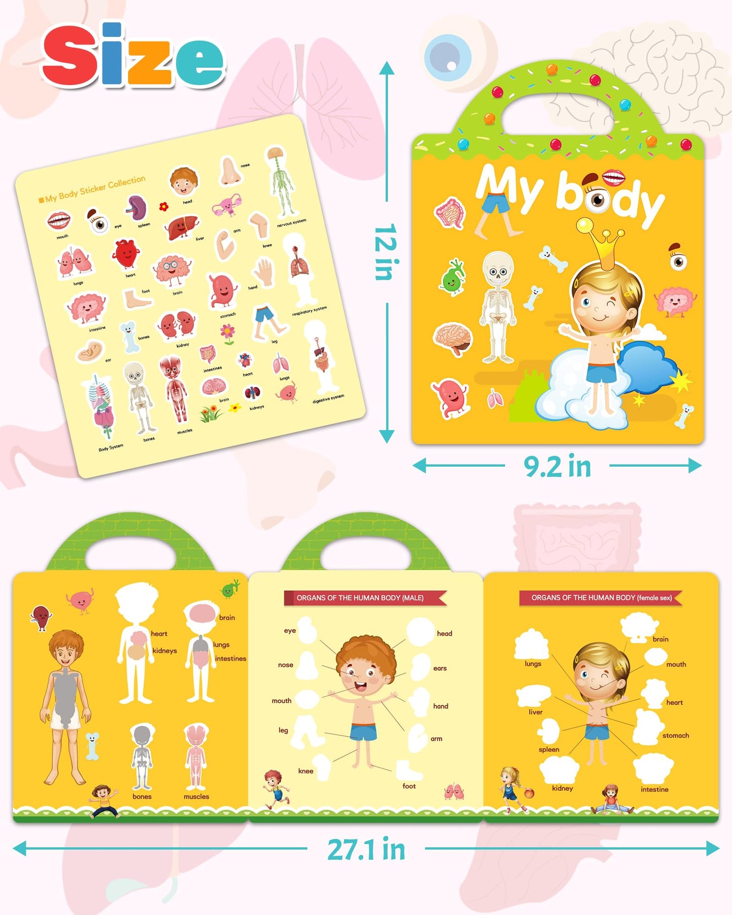 Benresive Reusable Sticker Book for Toddlers – My Body Theme, Portable Travel Craft