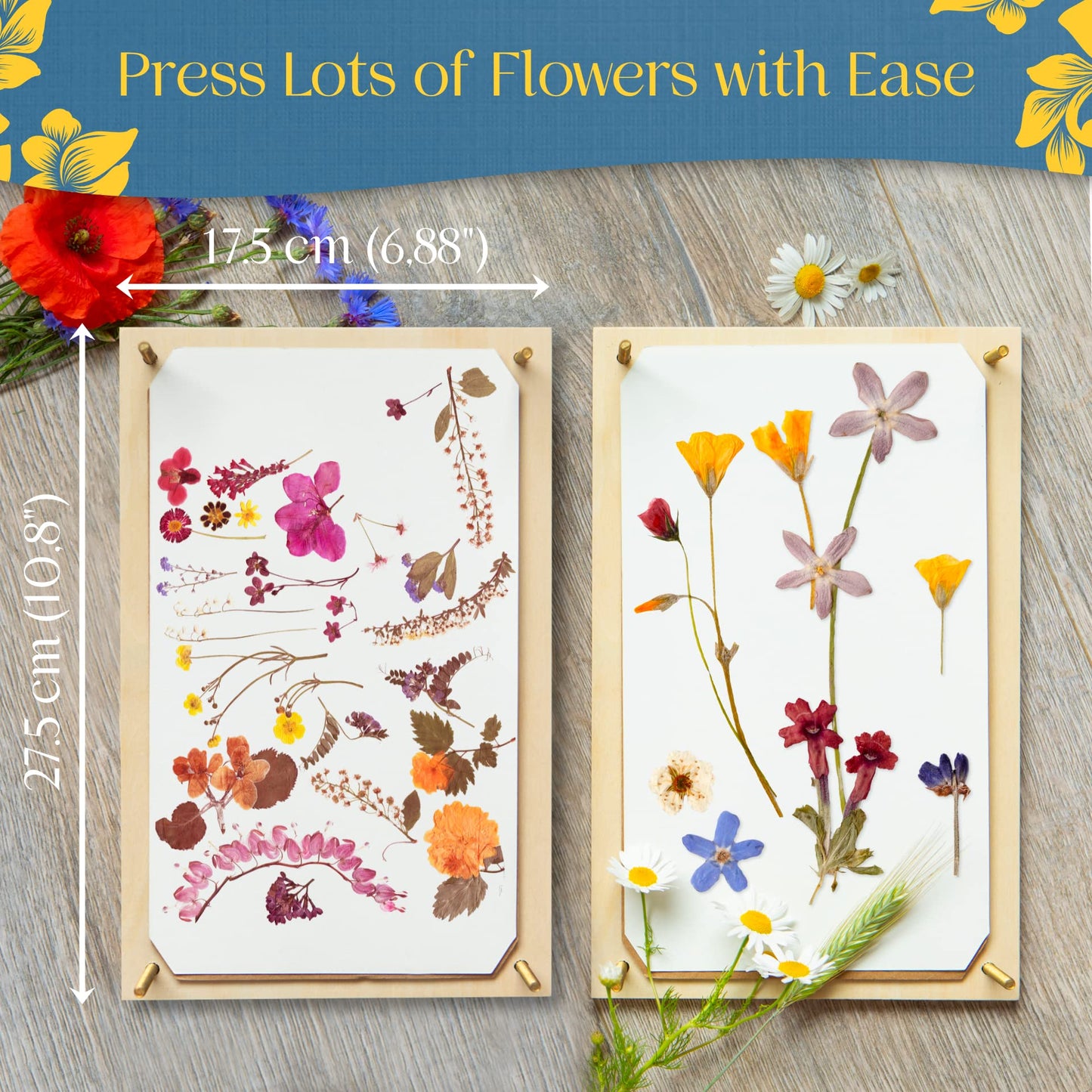Berstuk Large Flower Press Kit (10.8 x 6.9 in) + Expert Tutorials