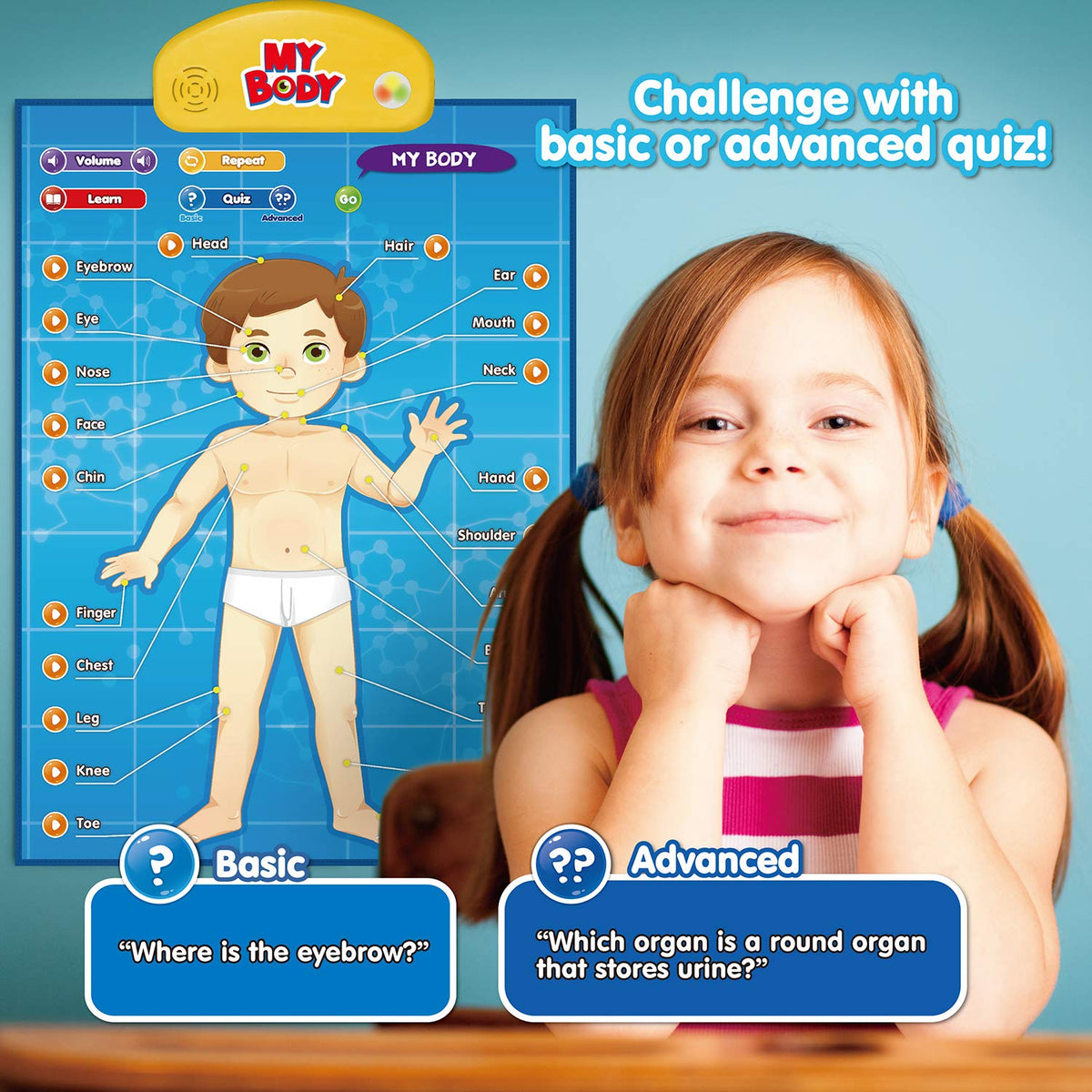 Best Learning i-Poster My Body – Interactive Anatomy Toy for Kids 5-12