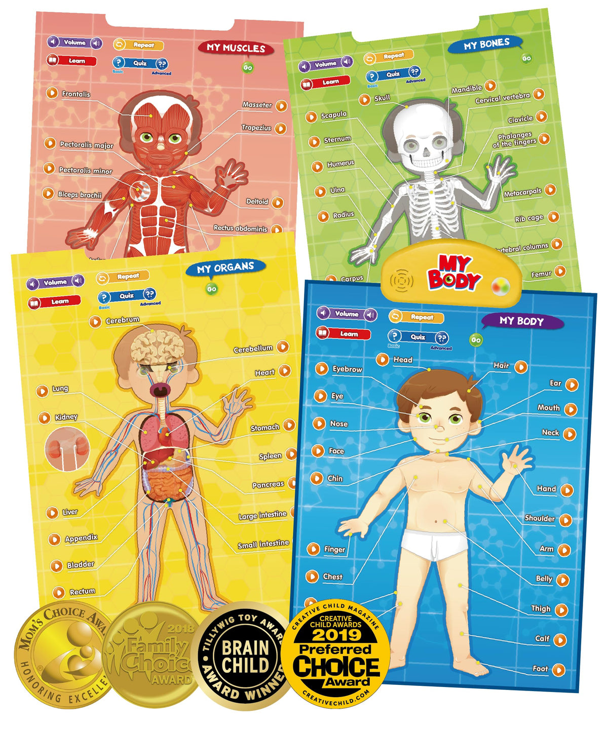 Best Learning i-Poster My Body – Interactive Anatomy Toy for Kids 5-12