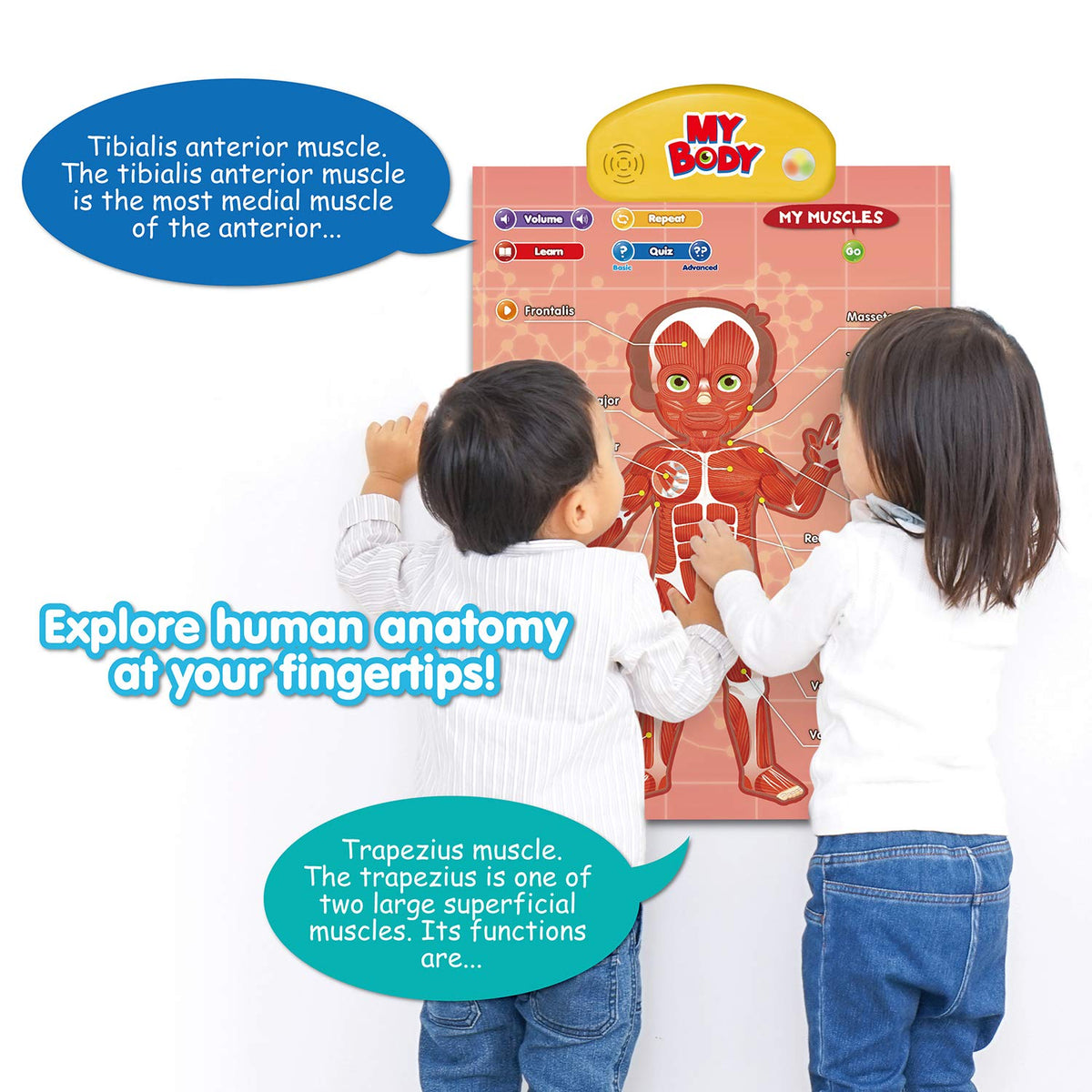 Best Learning i-Poster My Body – Interactive Anatomy Toy for Kids 5-12