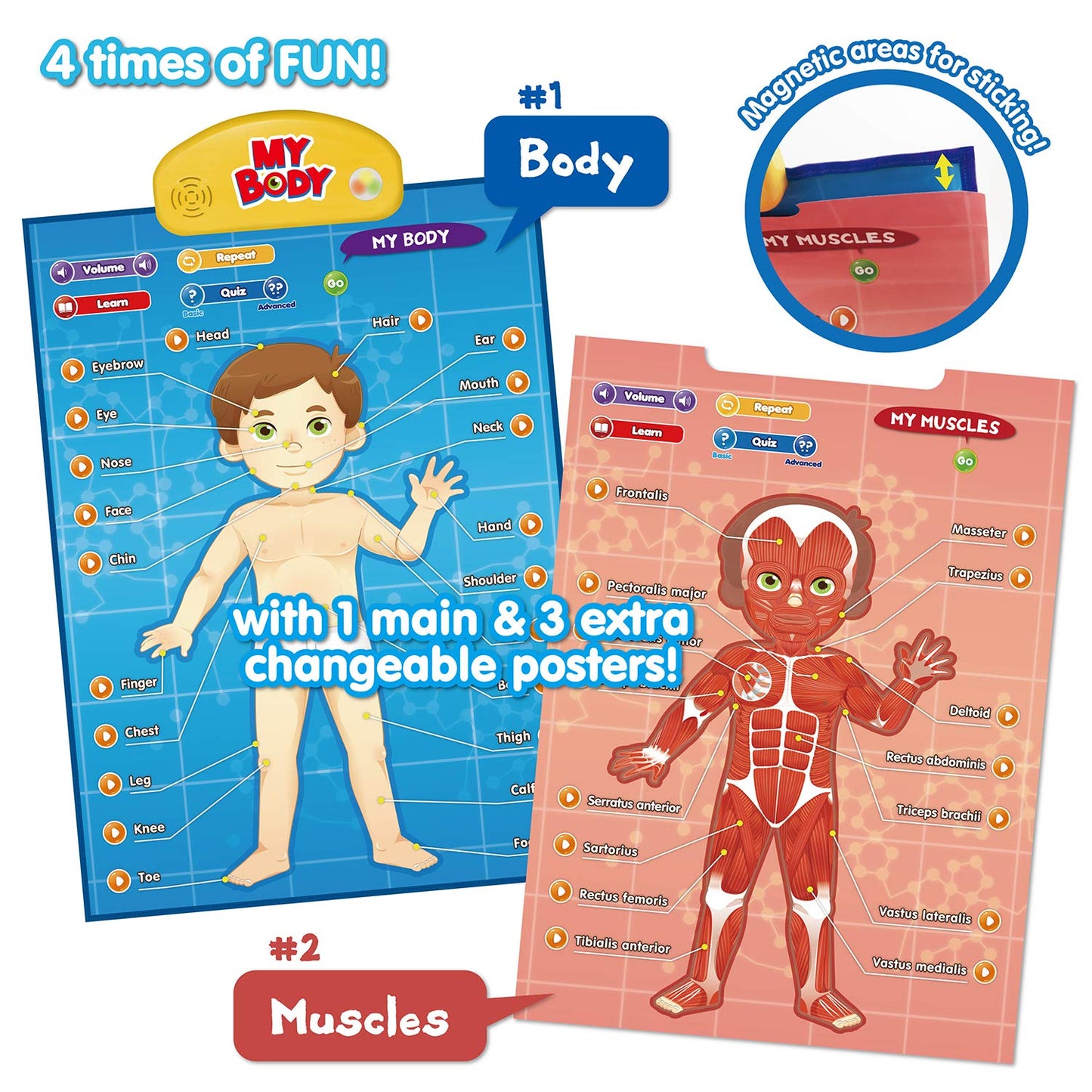 Best Learning i-Poster My Body – Interactive Anatomy Toy for Kids 5-12