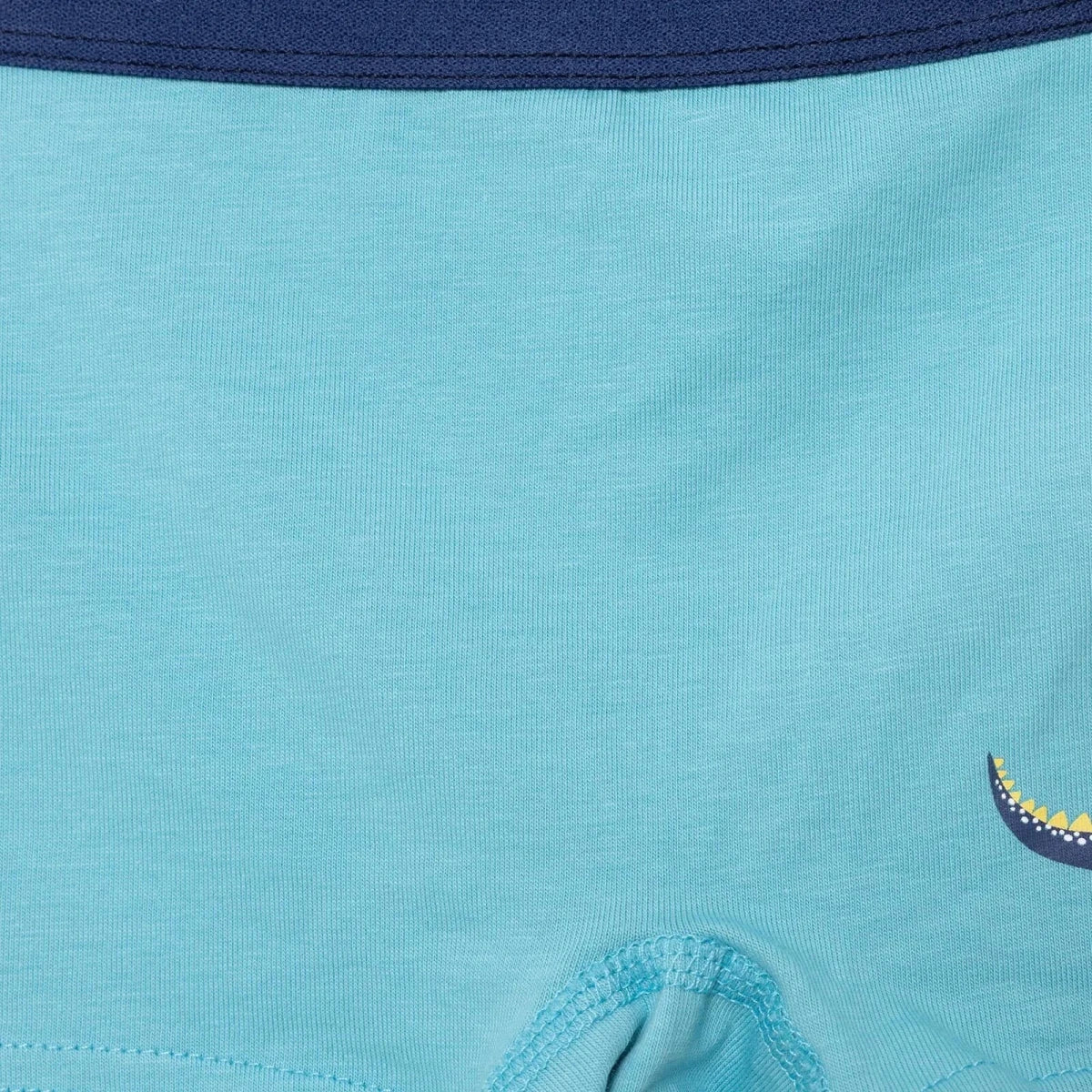 HelloBaby Boys Knickers Dinosaur - Blue