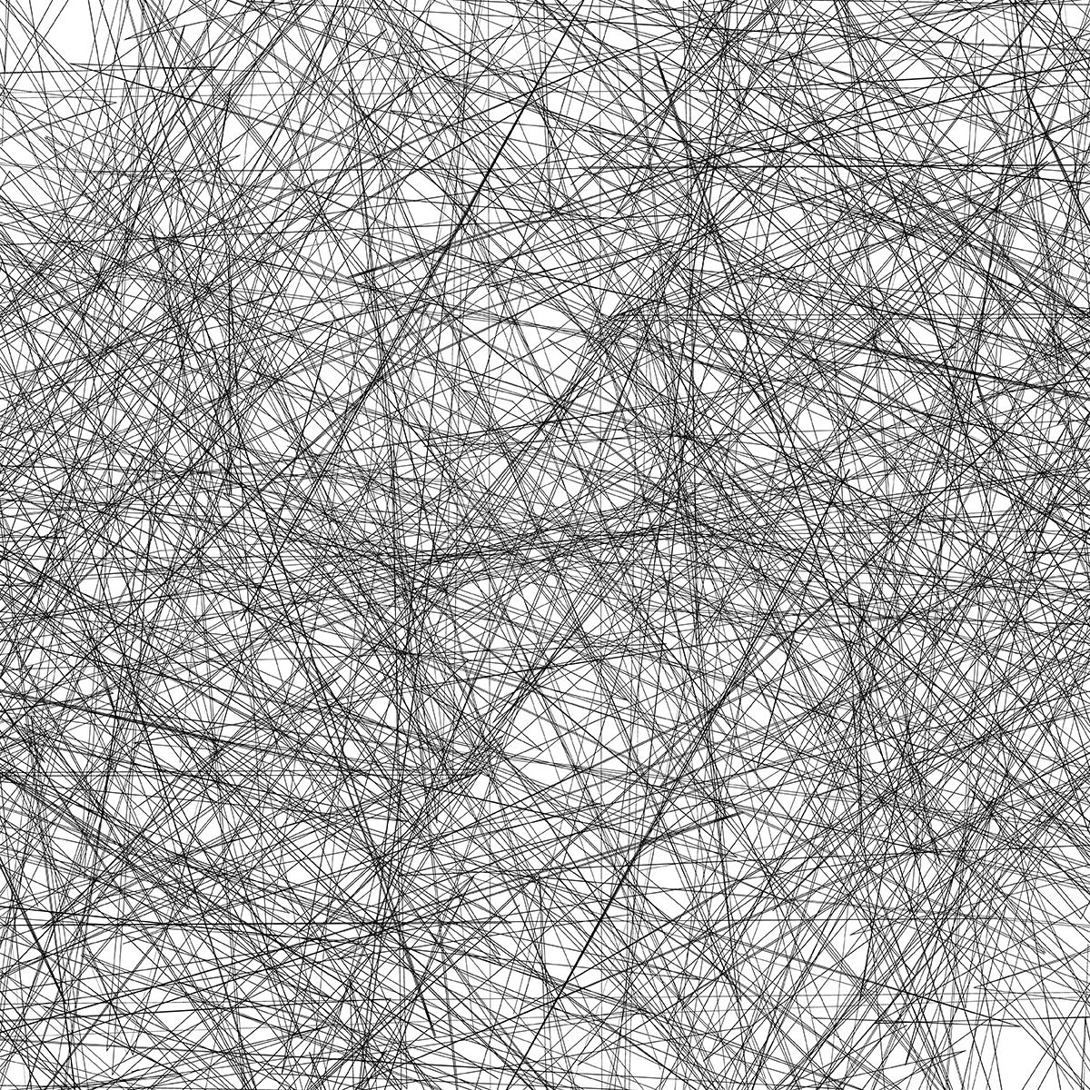 Bgraamiens The Lines 1000-Piece Black & White Puzzle | Intricate Line Art Jigsaw