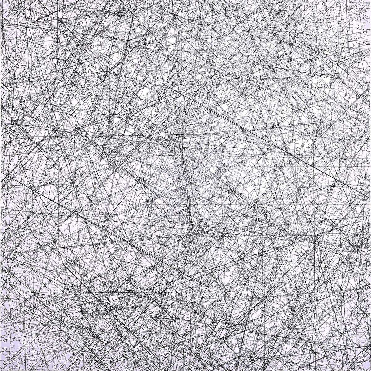 Bgraamiens The Lines 1000-Piece Black & White Puzzle | Intricate Line Art Jigsaw