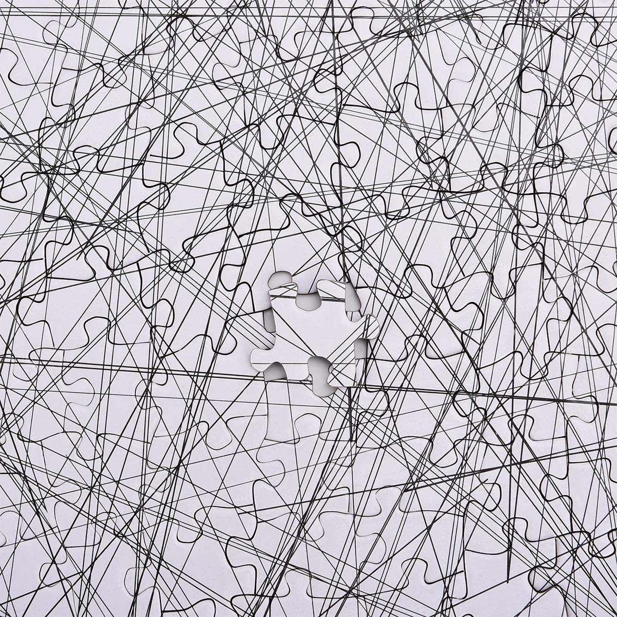 Bgraamiens The Lines 1000-Piece Black & White Puzzle | Intricate Line Art Jigsaw