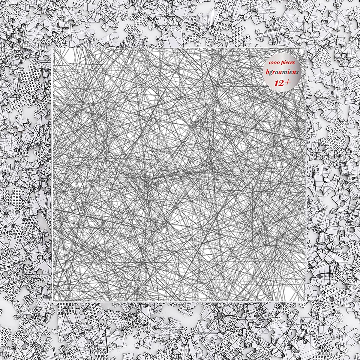 Bgraamiens The Lines 1000-Piece Black & White Puzzle | Intricate Line Art Jigsaw