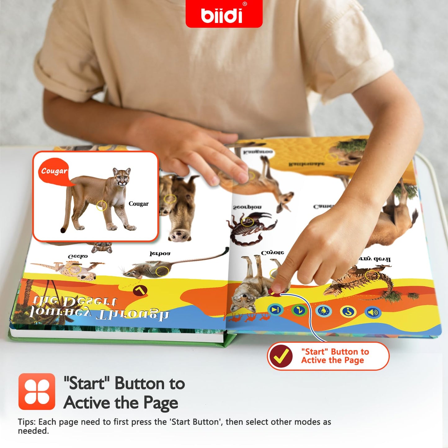 Biidi English Interactive Sound Book for Toddlers | 600+ Sounds, 171 Animals, 4 Modes, Screen-Free Learning Toy