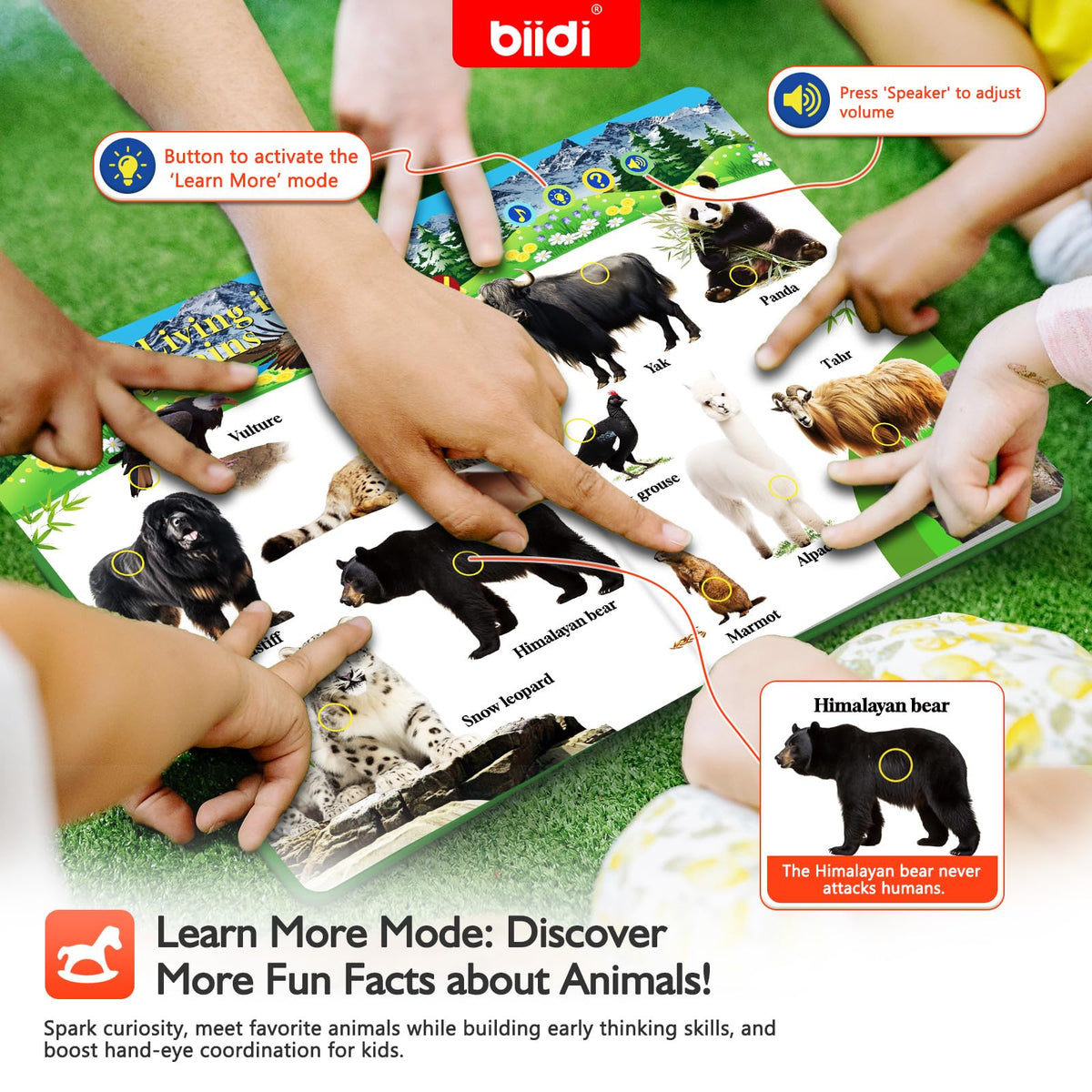 Biidi English Interactive Sound Book for Toddlers | 600+ Sounds, 171 Animals, 4 Modes, Screen-Free Learning Toy