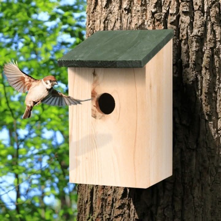 2 Pack Wooden Bird Nesting Boxes for Small Garden Birds