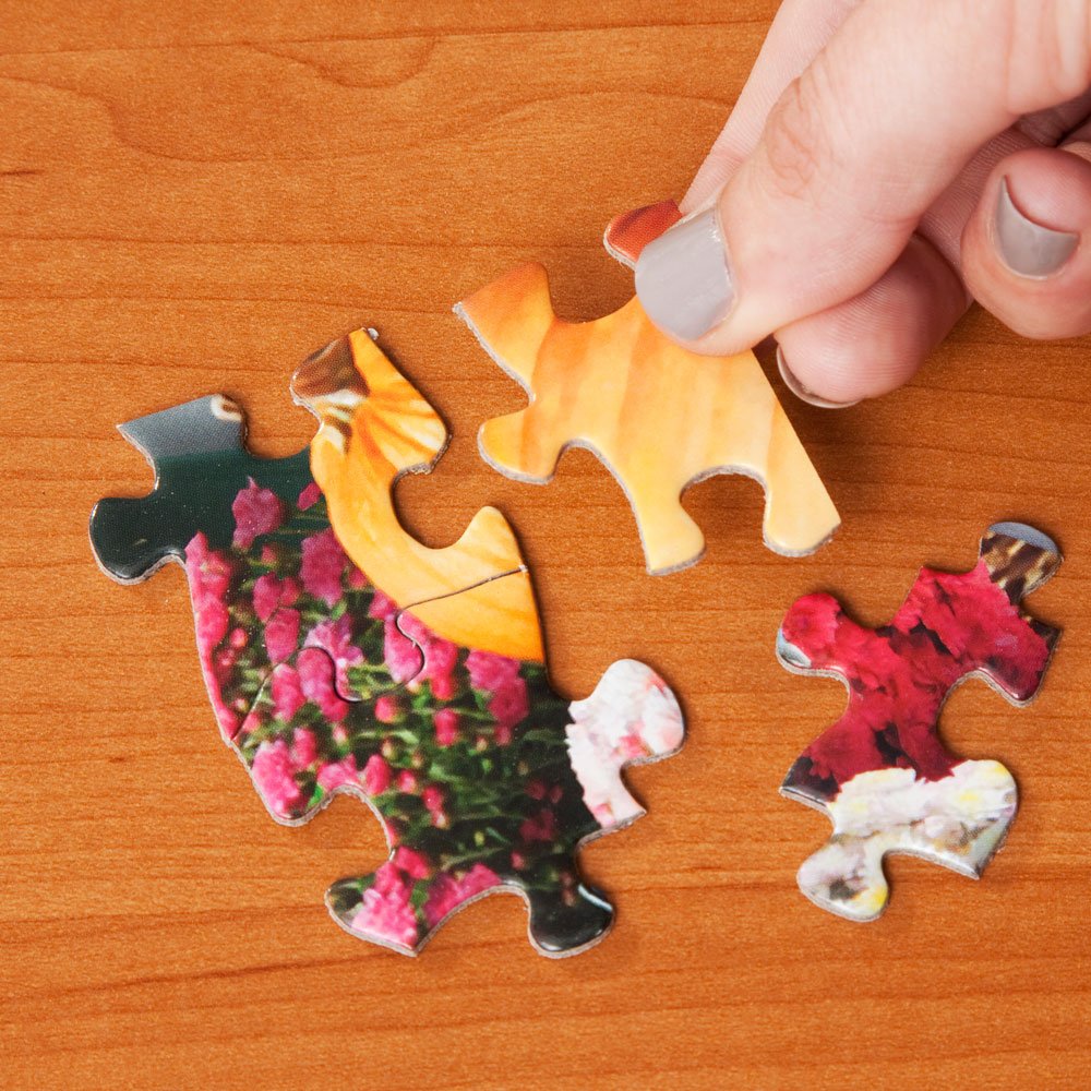 Bits and Pieces – Value Set of Three 300-Piece Seasons Puzzles for Adults by John Sloane | 18x24 Finished Size