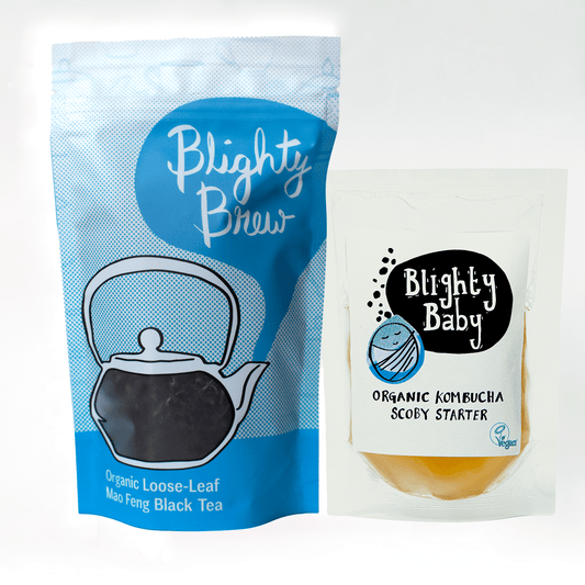 Blighty Booch Baby Kombucha Starter + Tea Bundles