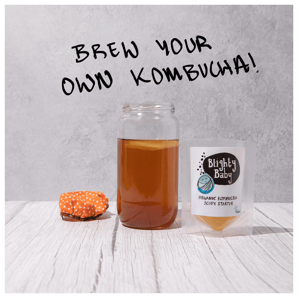 Blighty Booch Baby Kombucha Starter + Tea Bundles