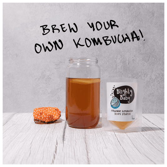 Blighty Booch Baby Kombucha Starter (to make 1L)