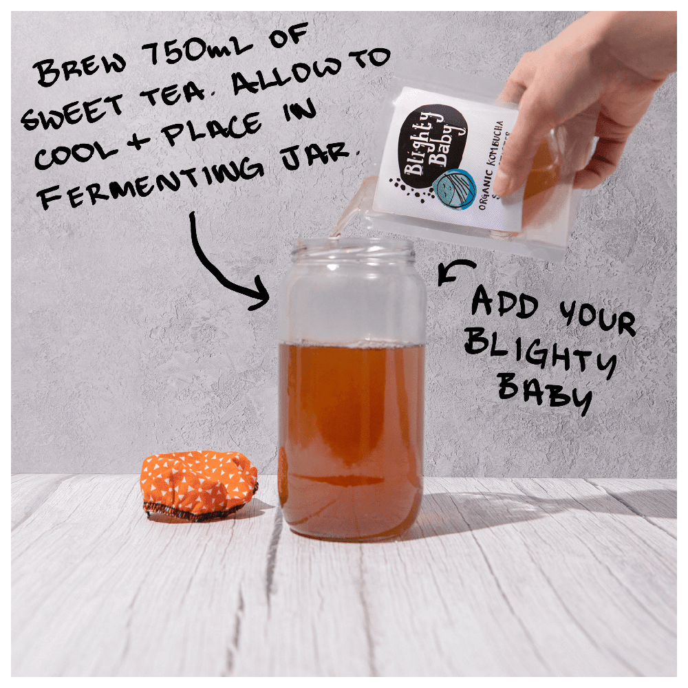 Blighty Booch Baby Kombucha Starter (to make 1L)