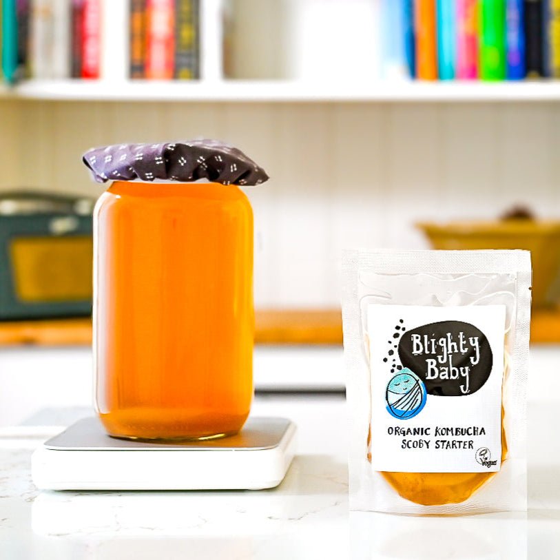 Blighty Booch Brew Base