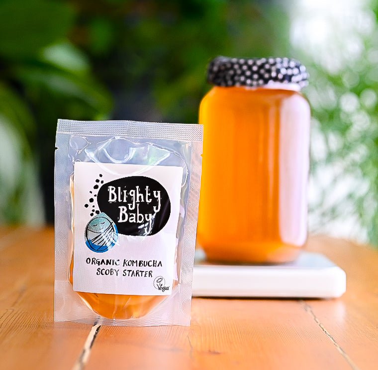 Blighty Booch Brew Base