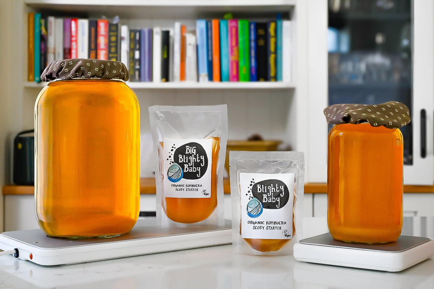 Blighty Booch Brew Base (Double)