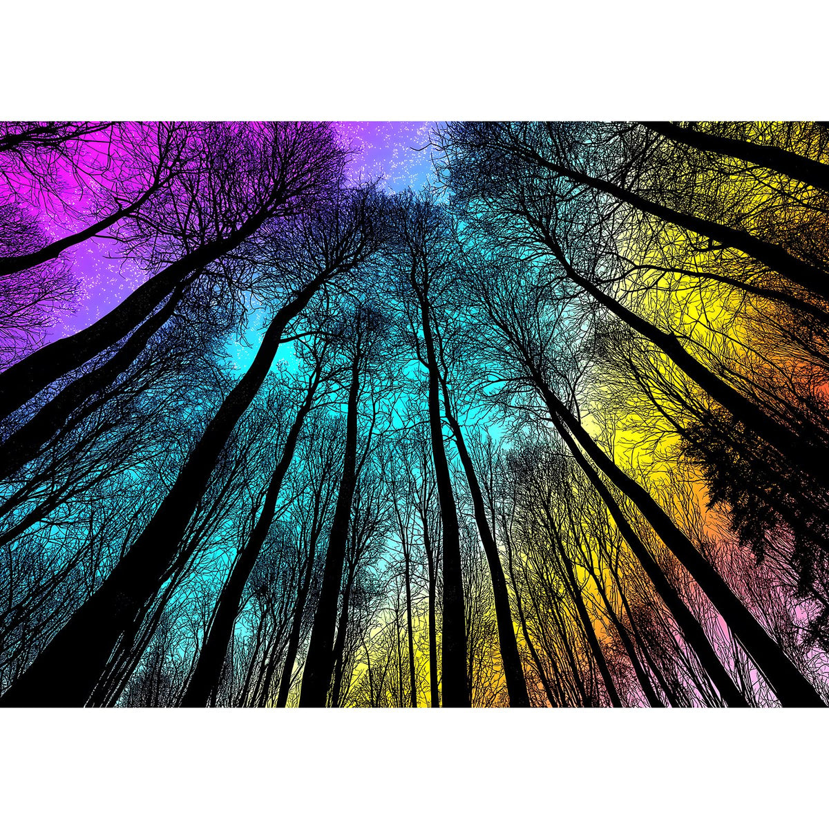 Blueforest 1000 Piece Puzzle for Adults – Starry Night Forest Gradient Magic Landscape | Challenging Jigsaw with Poster (27.5x19.7 in)