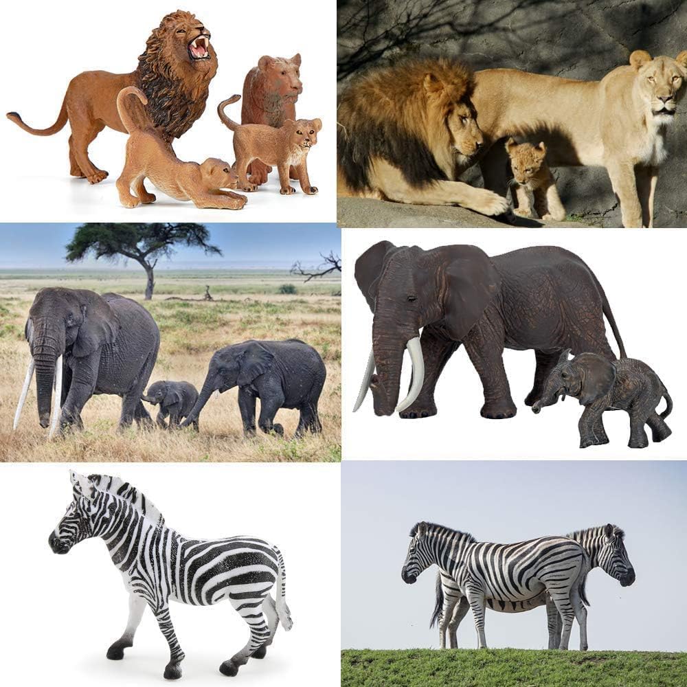BOLZRA Safari Animals Figures – 14-Piece Realistic Jungle Toy Set