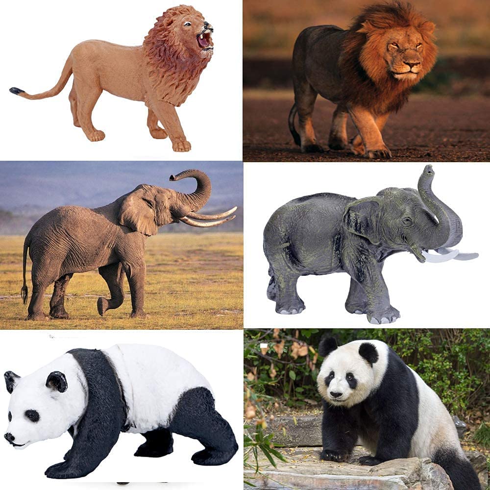 BOLZRA Safari Animals Figures Playset with Mat & Storage Box | 22 Pcs Jungle Toys for Kids 3-5
