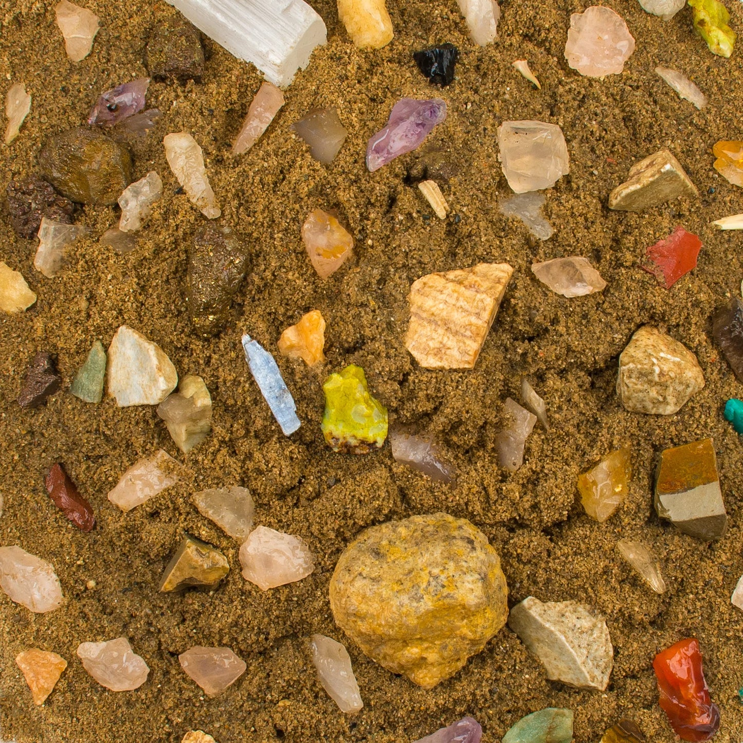 Boone's Mill Gemstone Paydirt • 5 lb Gem Mining Rough Stone Mix + Fossil Guide
