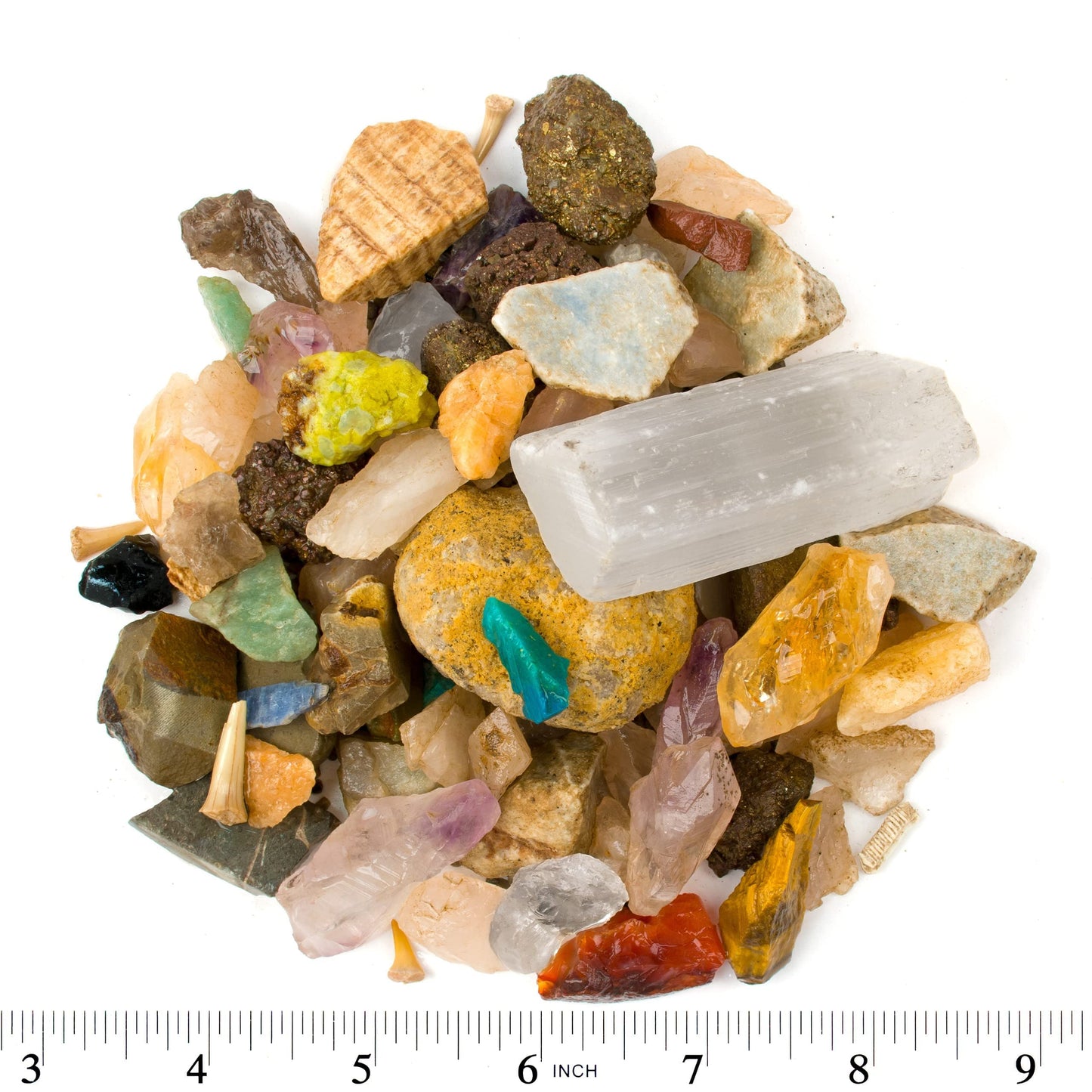 Boone's Mill Gemstone Paydirt • 5 lb Gem Mining Rough Stone Mix + Fossil Guide