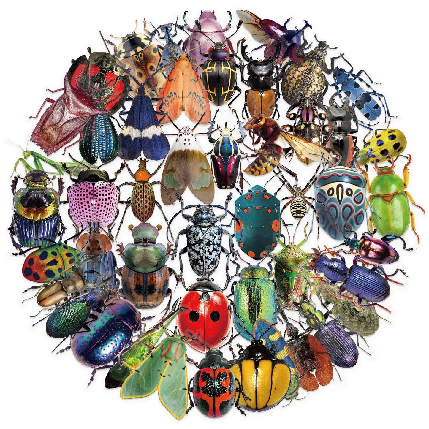 Booppyy 50 Realistic Insect Stickers - Transparent & Waterproof Vinyl for Laptops, Water Bottles, Scrapbooks