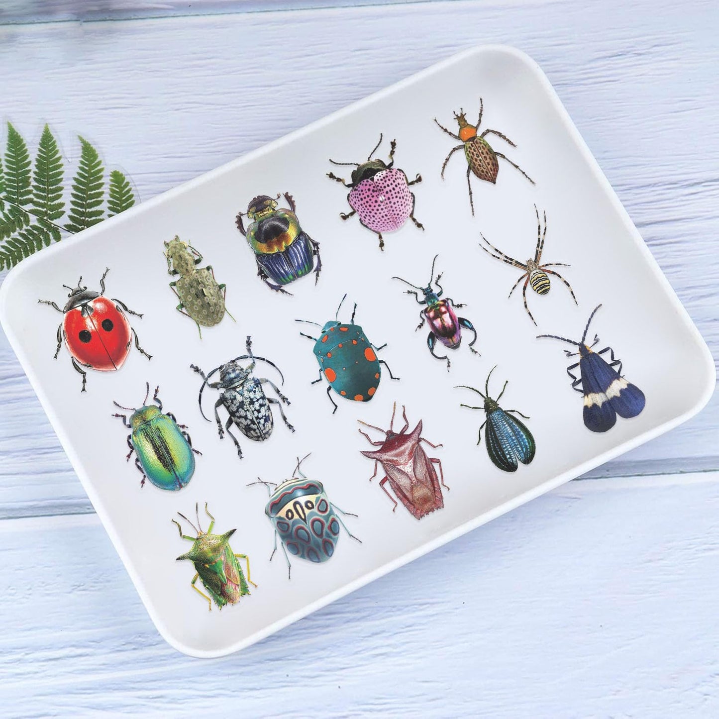 Booppyy 50 Realistic Insect Stickers - Transparent & Waterproof Vinyl for Laptops, Water Bottles, Scrapbooks