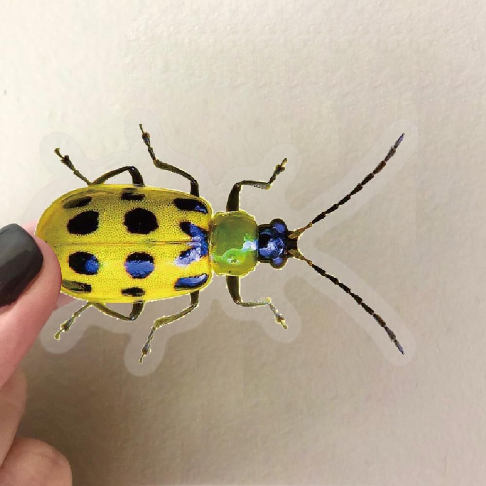 Booppyy 50 Realistic Insect Stickers - Transparent & Waterproof Vinyl for Laptops, Water Bottles, Scrapbooks